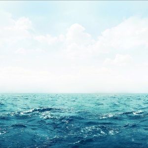 Meet your Posher, Alison